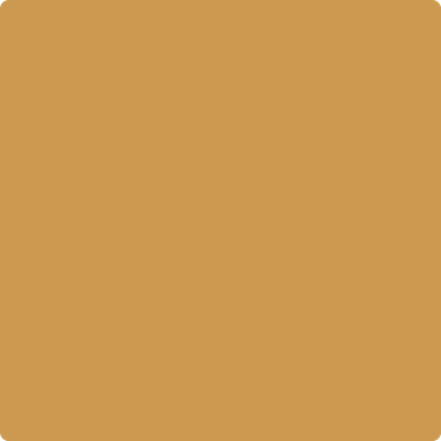2160-30: Maple Sugar a paint color by Benjamin Moore avaiable at Clement's Paint in Austin, TX.