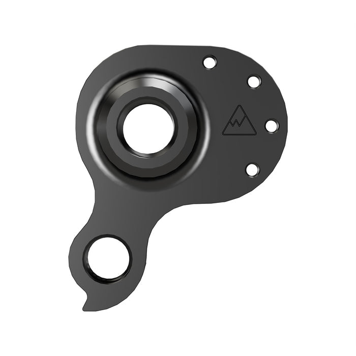 Derailleur Hanger 570
