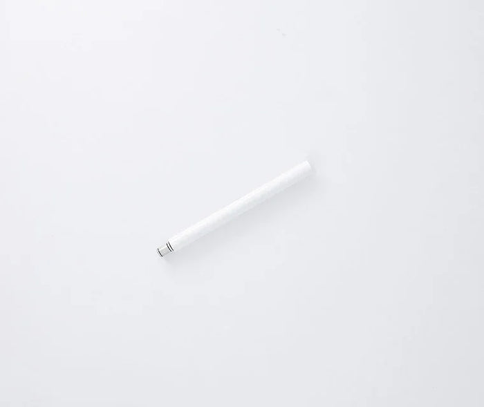 Extensión Barra LUPIT POLE CLASSIC G2 - 500MM - BLANCA 45MM - 24/48 HRS