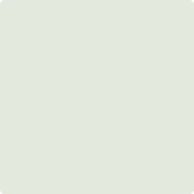 463-Woodland: White  a paint color by Benjamin Moore avaiable at Clement's Paint in Austin, TX.