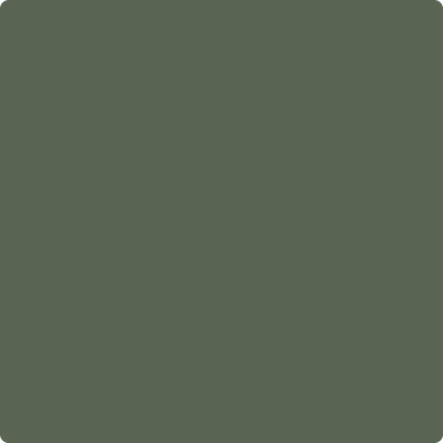 469-Backwoods:  a paint color by Benjamin Moore avaiable at Clement's Paint in Austin, TX.