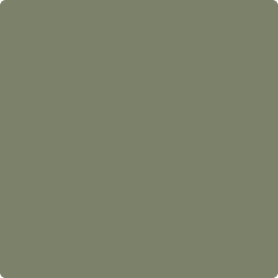 475-Galapagos: Green  a paint color by Benjamin Moore avaiable at Clement's Paint in Austin, TX.