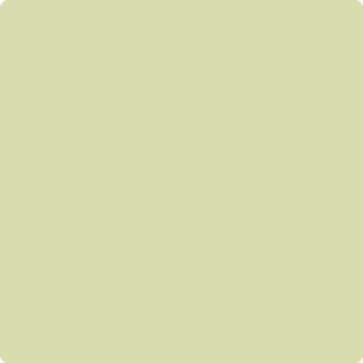 527-Warren: Acres  a paint color by Benjamin Moore avaiable at Clement's Paint in Austin, TX.
