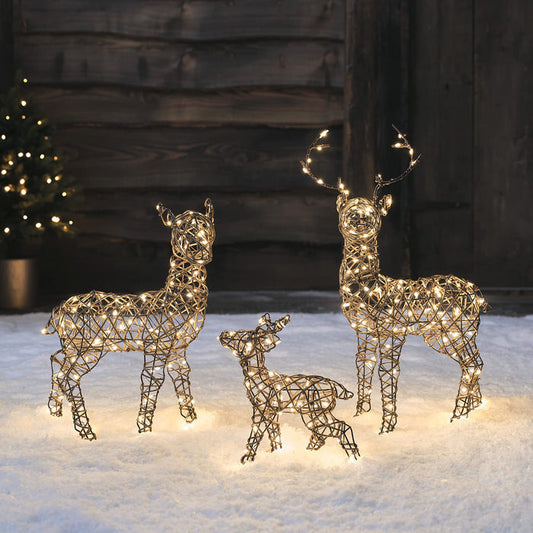 D-XX240089 - Mini Studley Reindeer Bundle.jpg