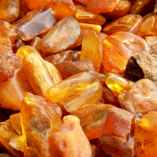 Amber & Incense Fragrance Oil 848