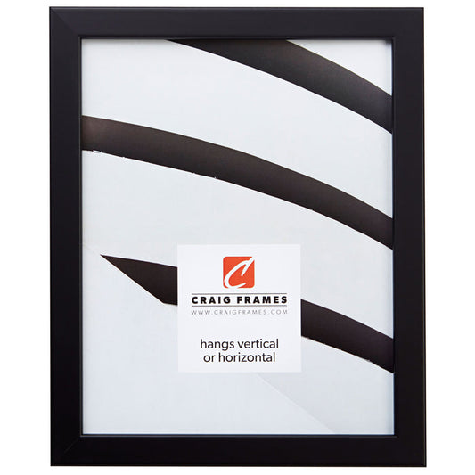 Bauhaus 0.75", Black Satin Mica Picture Frame