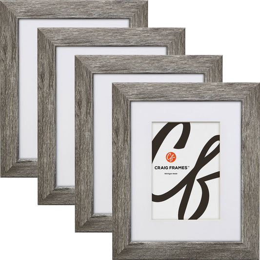 Bauhaus 125 1.25", Matted Barnwood Gray Picture Frame - 4 Piece Set