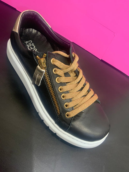Tatter black/gold